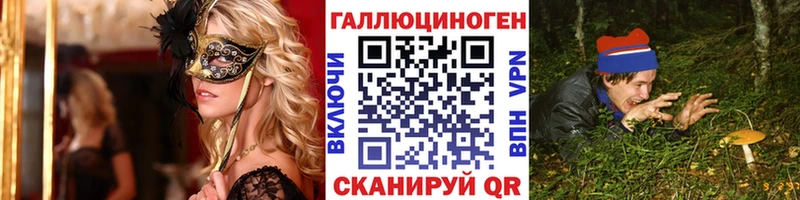 купить   Ясный  Галлюциногенные грибы мицелий 